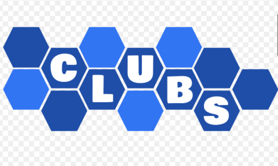 Why You Should Be Participating in Clubs