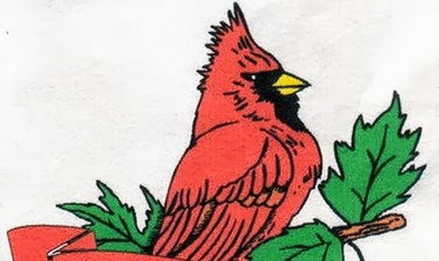 Kardinal Mascot Mystery